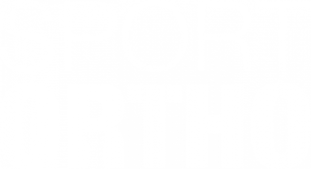 SOS_LOGO_WS_only.png